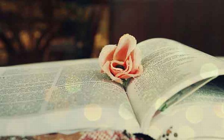 超聲波車位引導(dǎo)系統(tǒng)解決方案